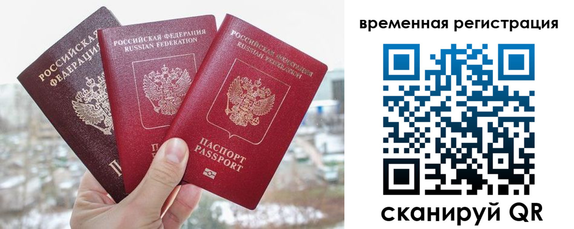 временная регистрация поиск в Курганинске